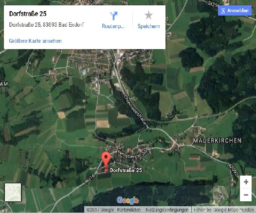 Google Maps Bild